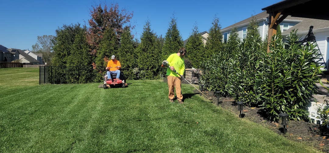 Landscaping service for WillPlay landscape demo